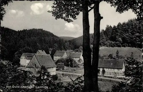 Ak Bad Grund im Harz, Laubhütte, Wohnhäuser, Straßenpartie