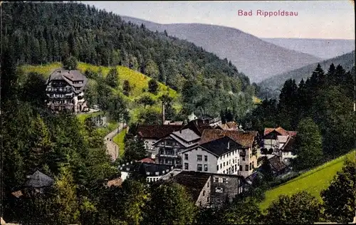 Ak Bad Rippoldsau Schapbach im Schwarzwald, Teilansicht vom Ort