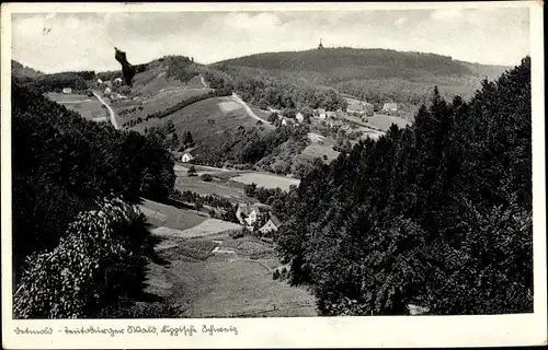 Ak Detmold Lippische Schweiz, Wohnhäuser am Teutoburger Wald, Hermannsdenkmal