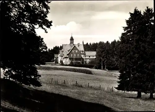 Ak Dassel in Niedersachsen, CVJM Heim, Gesamtansicht, Wald