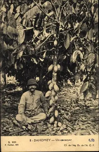 Ak Dahomey Benin, Un cacaoyer, Kakaoplantage, Kakaobaum