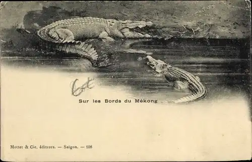 Ak Vietnam, Sur les Bords du Mékong, Siam Krokodil