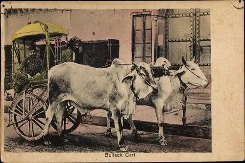 Ak Indien, Bullock Cart, Indischer Ochsenkarren