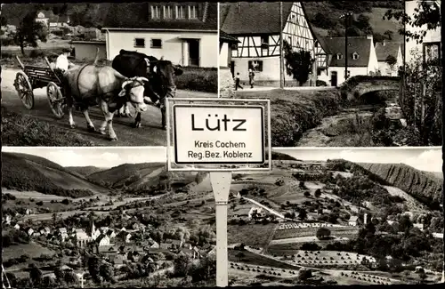 Ak Lütz Rheinland Pfalz, Ortsansichten, Rindergespann, Fachwerkhaus, Kirche, Brücke