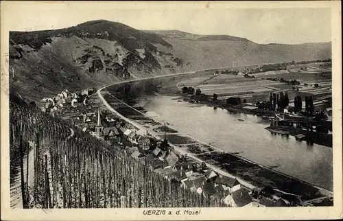 Ak Ürzig an der Mosel, Panoramaansicht von Ortschaft