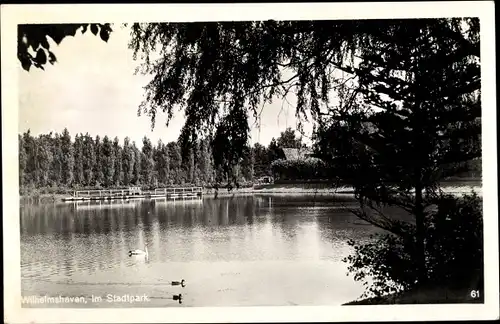 Ak Wilhelmshaven in Niedersachsen, Im Stadtpark