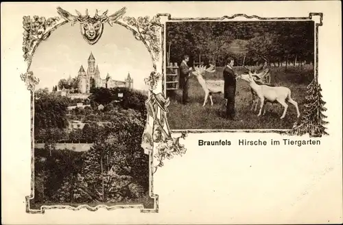 Ak Braunfels in Hessen, Hirsche im Tiergarten, Schloss