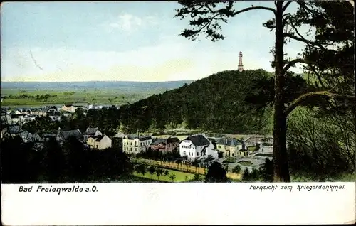 Ak Bad Freienwalde an der Oder, Fernsicht zum Kriegerdenkmal, Panorama vom Ort