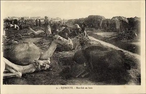 Ak Djibouti Dschibuti, Marché au bois, Holzmarkt, Kamele 