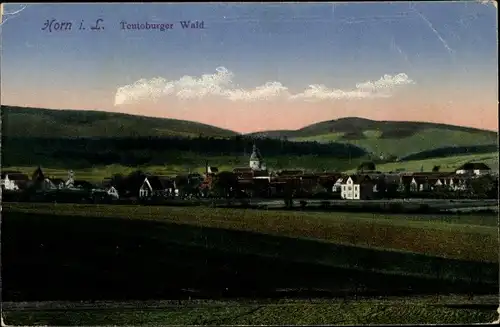 Ak Horn Bad Meinberg Nordrhein Westfalen, Panorama vom Ort u. Teutoburger Wald