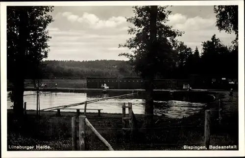 Ak Bispingen im Heidekreis, Badeanstalt, Schwimmbecken