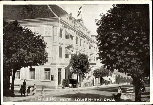 Ak Triberg im Schwarzwald, Hotel Löwen National, Bes. Louis Nassoy, Straßenansicht 