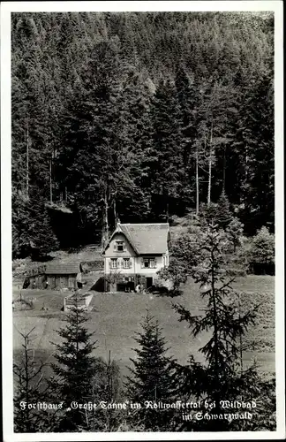 Ak Bad Wildbad Baden Württemberg, Forsthaus Große Tanne, Außenansicht, Wald, Große Tanne