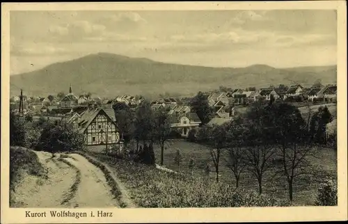 Ak Wolfshagen Langelsheim im Harz, Panorama vom Ort