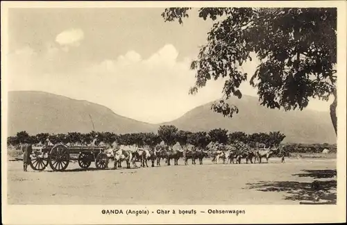 Ak Ganda Angola, Char à boeufs, Ochsenwagen