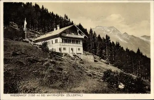 Ak Mayrhofen Zillertal Tirol, Alpengasthof Wiesenhof