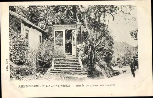 Ak Saint Pierre Martinique, Entrée du Jardin des Plantes