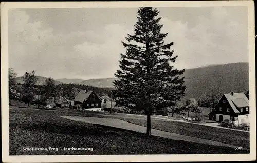 Ak Schellerhau Altenberg im Erzgebirge, Mathaeusweg