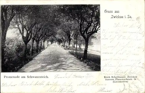 Ak Zwickau in Sachsen, Promenade am Schwanenteich