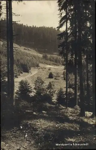 Ak Titisee Neustadt im Breisgau Hochschwarzwald, Waldpartie