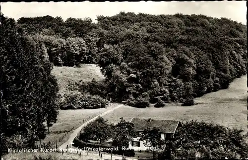 Ak Rengsdorf in Rheinland Pfalz, Reh am Weg, Waldlandschaft