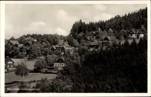Ak Bärenfels Altenberg im Erzgebirge, Wohnhäuser, Wald