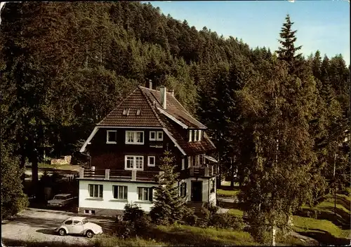 Ak Hinterzarten im Südschwarzwald, Pension Waldeck, Inh. K. Bollenbach