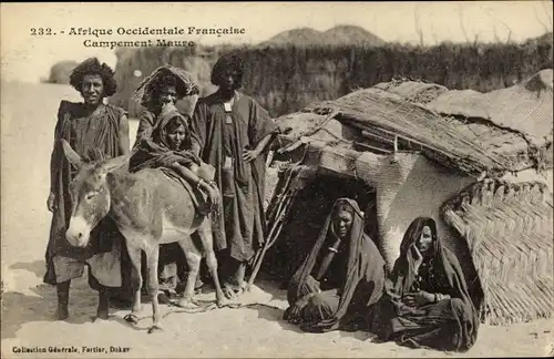 Ak Afrique occidentale francaise, Campement Maure, Mauren vor ihrem Zelt, Esel