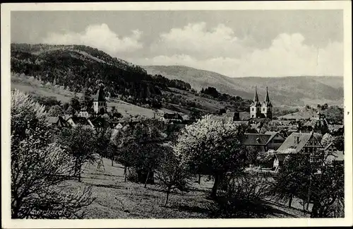 Ak Murrhardt in Baden Württemberg, Panorama vom Ort, Baumblüte