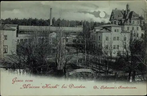 Ak Dresden Weißer Hirsch, schöne Detailansicht