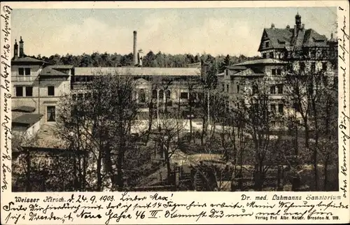 Ak Dresden Weißer Hirsch, schöne Detailansicht