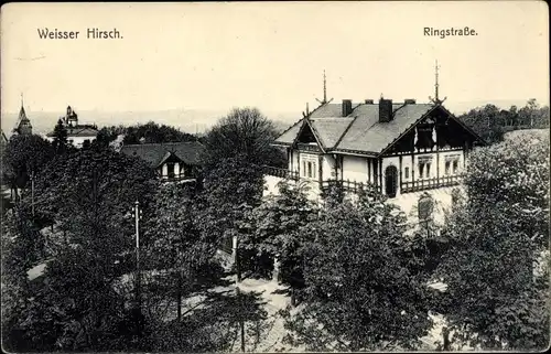 Ak Dresden Weißer Hirsch, schöne Detailansicht