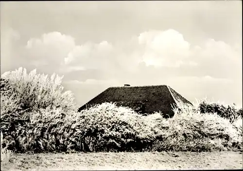 Foto Ak Wenningstedt Braderup in Nordfriesland, Wohnhaus, Hecken