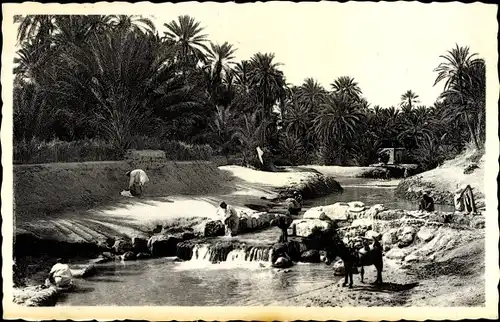 Ak Tozeur Tunesien, Un barrage sur l'Oued, Flusspartie