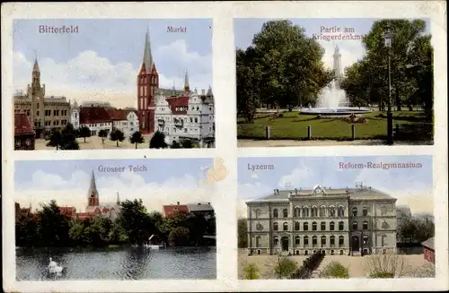 Ak Bitterfeld in Sachsen Anhalt, Markt, Großer Teich, Lyzeum, Reform Realgymnasium