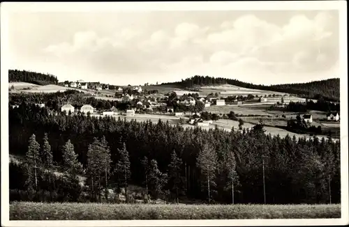 Ak Vogelsgrün Auerbach im Vogtland, Panorama vom Ort