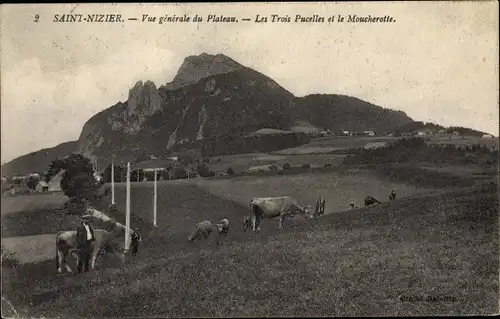 Ak Saint Nizier du Moucherotte Isère, Vue générale du Plateau, les Trois Pucelles et le Moucherotte