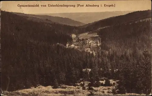 Ak Unterhirschsprung Altenberg, Gesamtansicht, Wald, Wohnhäuser