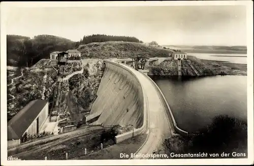 Ak Saalburg Ebersdorf in Thüringen, die Bleilochsperre, Gesamtansicht von der Gans