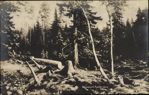 Künstler Ak Schischkin, Iwan Iwanowitsch, Waldlandschaft