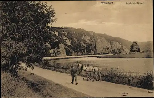Ak Waulsort Hastière Wallonien Namur, Route de Dinant