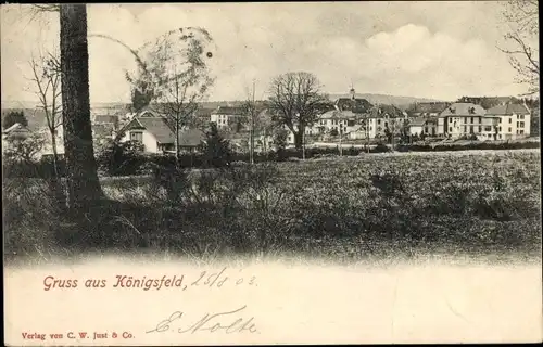 Ak Königsfeld im Schwarzwald Baar Kreis, Wohnsiedlung, Teilansicht der Stadt