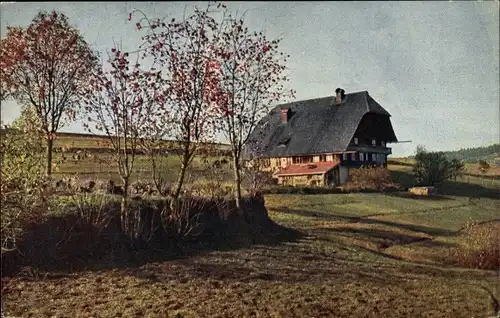 Ak Deutschland?, Altes Haus auf dem Feld, Panorama