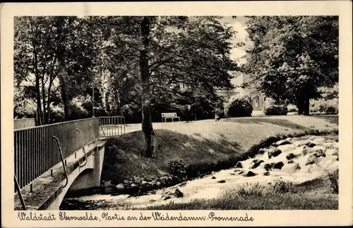 Ak Eberswalde in Brandenburg, Waldstadt, Partie an der Weidendamm Promenade