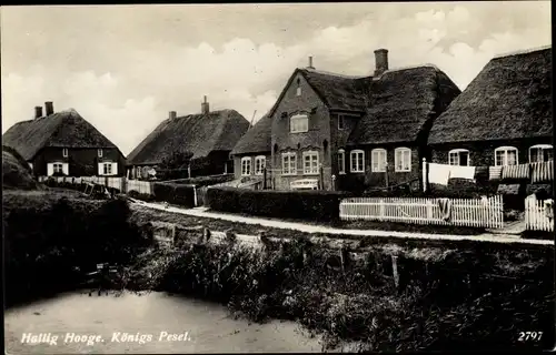 Ak Hallig Hooge in Nordfriesland, Königs Pesel, Reetdachhäuser 