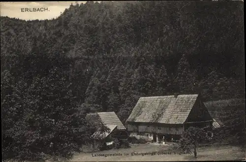 Ak Erlbach im Vogtland Sachsen, Landesgemeinde im Elstergebirge, Waldlandschaft