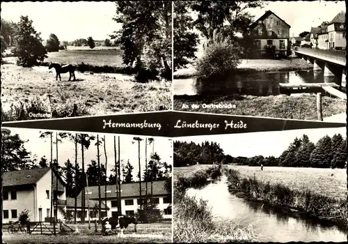 Ak Hermannsburg Südheide Niedersachsen, An der Oertzebrücke, Pferd, Pfarrvikarseminar