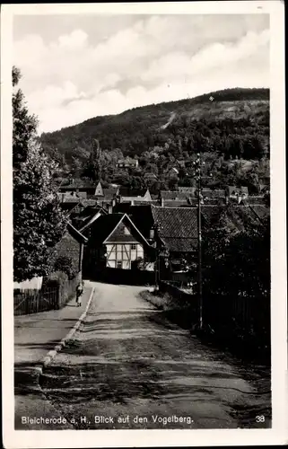 Ak Bleicherode im Kreis Nordhausen, Blick auf den Vogelberg und den Ort