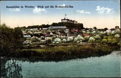 Ak Baumblüte Werder an d. Havel, Hotel u. Restaurant Bismarckhöhe, Bes. Gustav Altenkirch