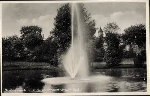 Ak Bischofswerda in Sachsen, Partie im Friedrich August Park, Springbrunnen, Kirche